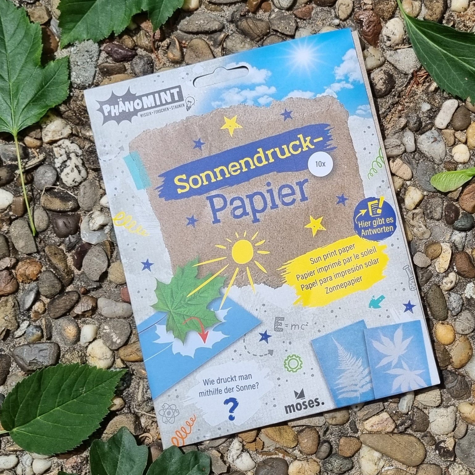 Sonnendruck-Papier (PhänoMINT)